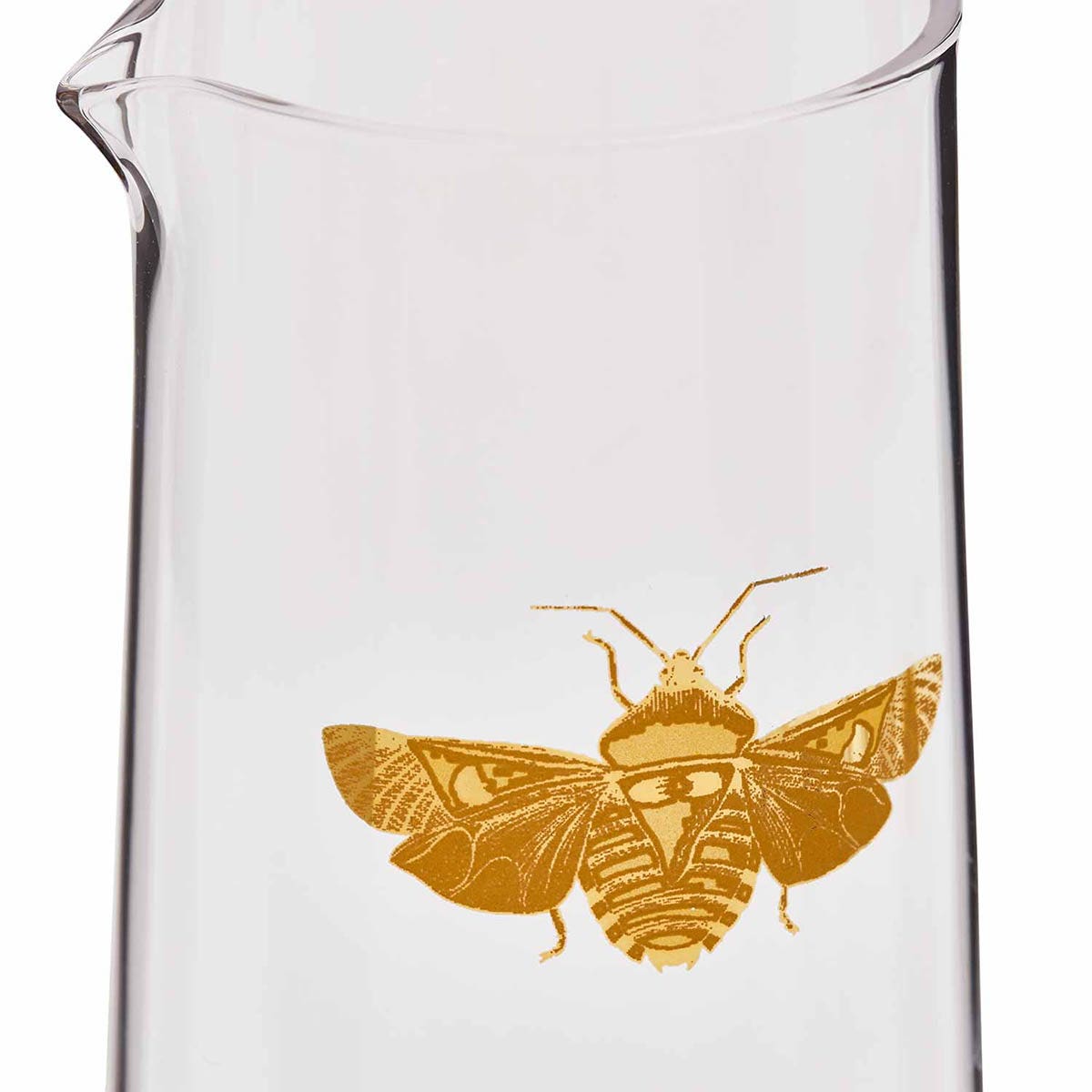 Creatures of Curiosity Carafe & Tumbler Set