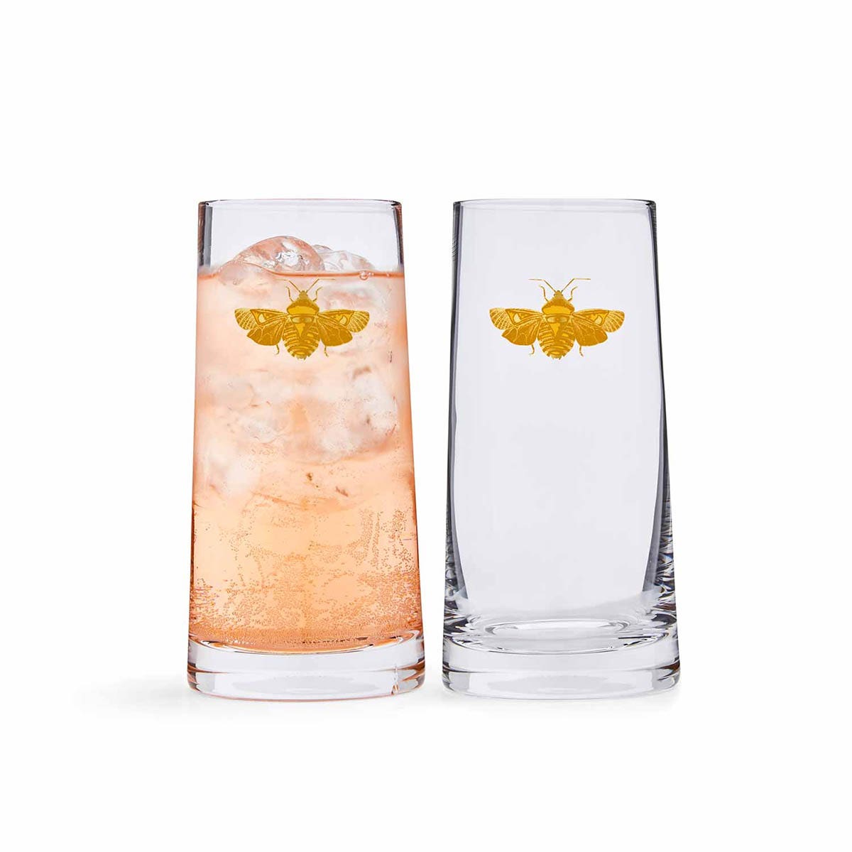 Creatures of Curiosity Highball Glass Set