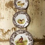 Seconds Spode Woodland Set of 6  9 Inch Luncheon Plate - No Guarantee of Animal Design